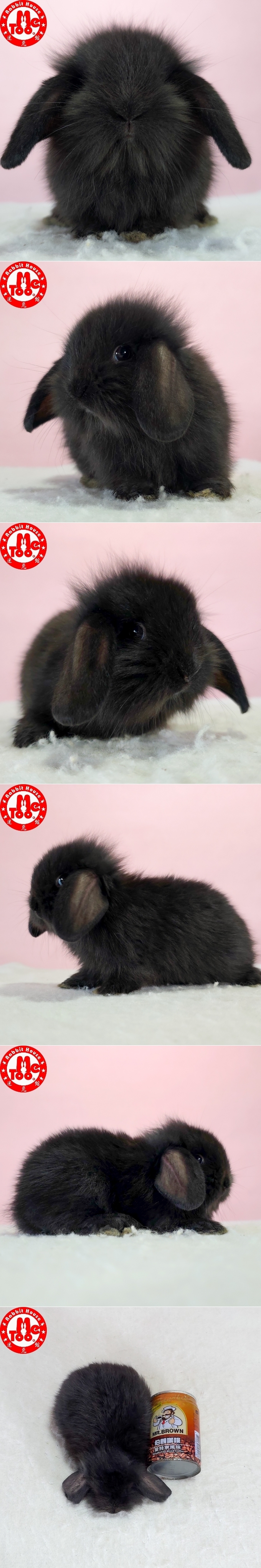 圖檔