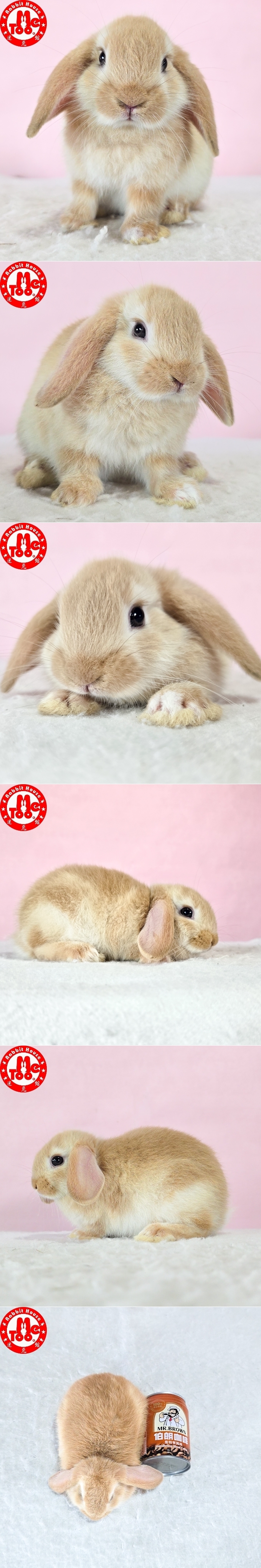 圖檔